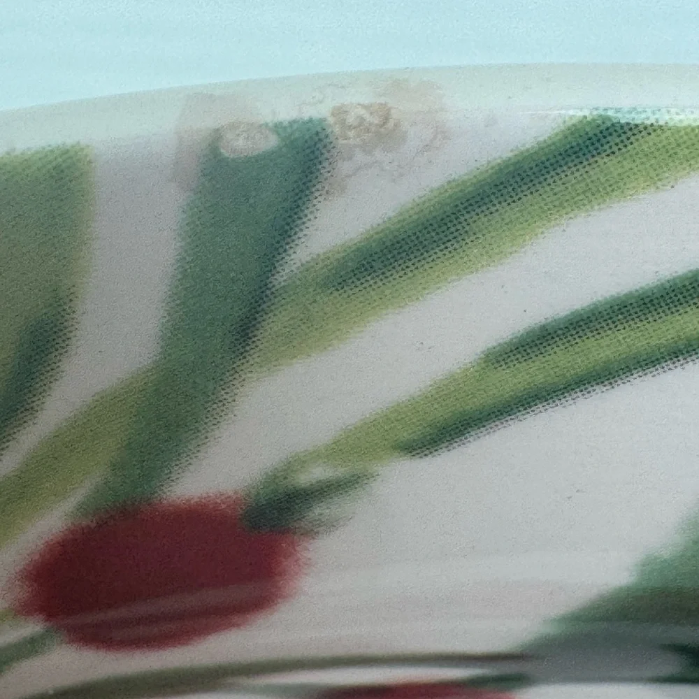 Lot Of 4 Pier 1 Imports Classic Poinsettia Pattern 9” Plates 10822327 READ FLAWS